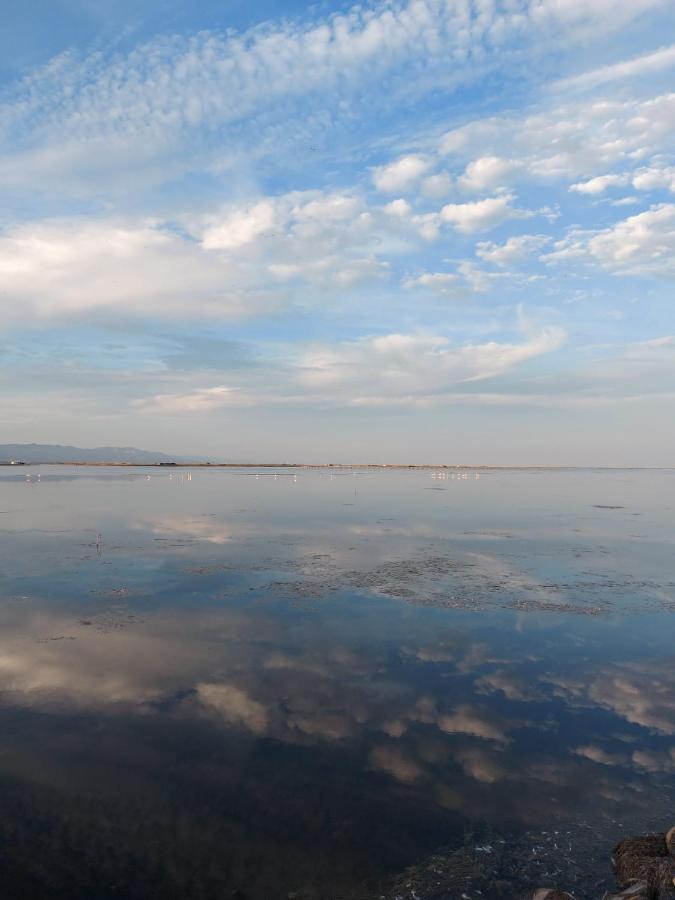 Encantador Apartamento En El Delta Del Ebro-Apartaments Iaio Kiko El Lligallo del Ganguil エクステリア 写真